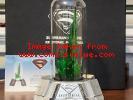 DC Direct Gallery Superman Returns Kryptonite Prop Replica