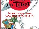 SCHLUMPF PITUFO COMIC ''TINTIN IN TIBET'' in  DUTCH 1